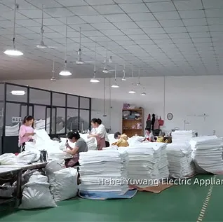 electric blanket sale
