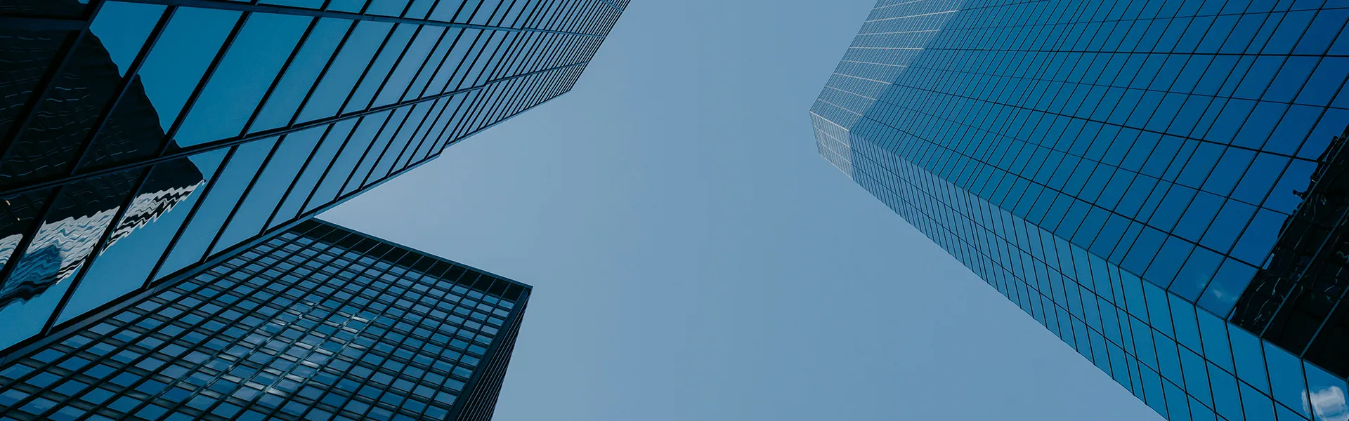 Introducción de la empresa